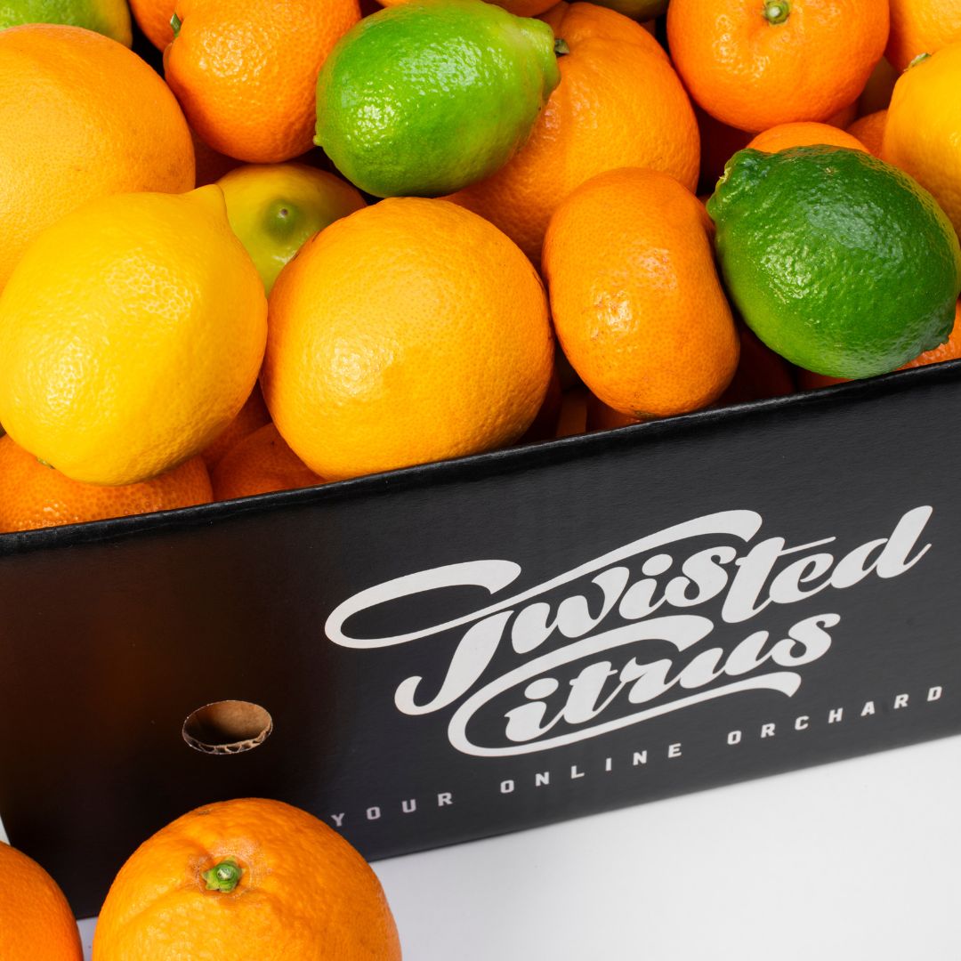 Buy Mixed Citrus Box Online NZ